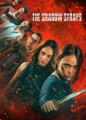 Phim Sát Thủ Mật Danh 13 – The Shadow Strays