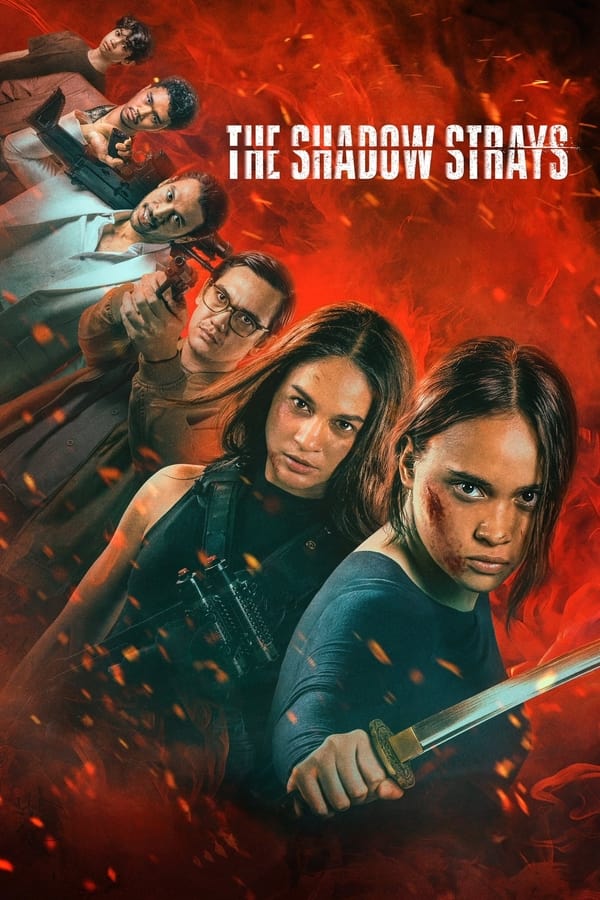 Phim Sát Thủ Mật Danh 13 – The Shadow Strays