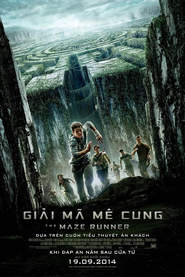 Phim Giải Mã Mê Cung - The Maze Runner