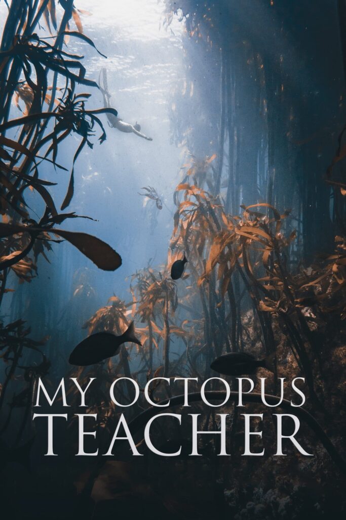 Phim Cô Giáo Bạch Tuộc - My Octopus Teacher