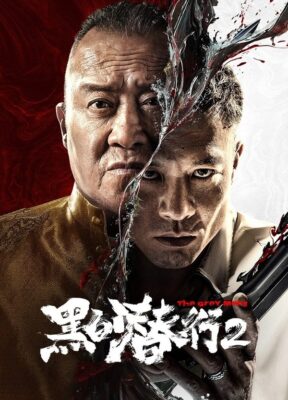 Phim Đặc Vụ Vô Hình 2 - The Grey Man 2