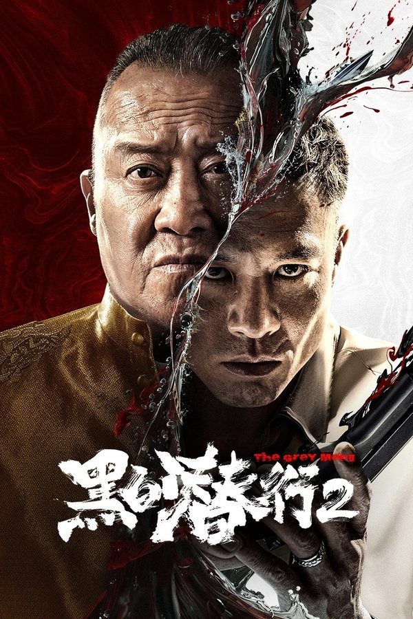 Phim Đặc Vụ Vô Hình 2 - The Grey Man 2