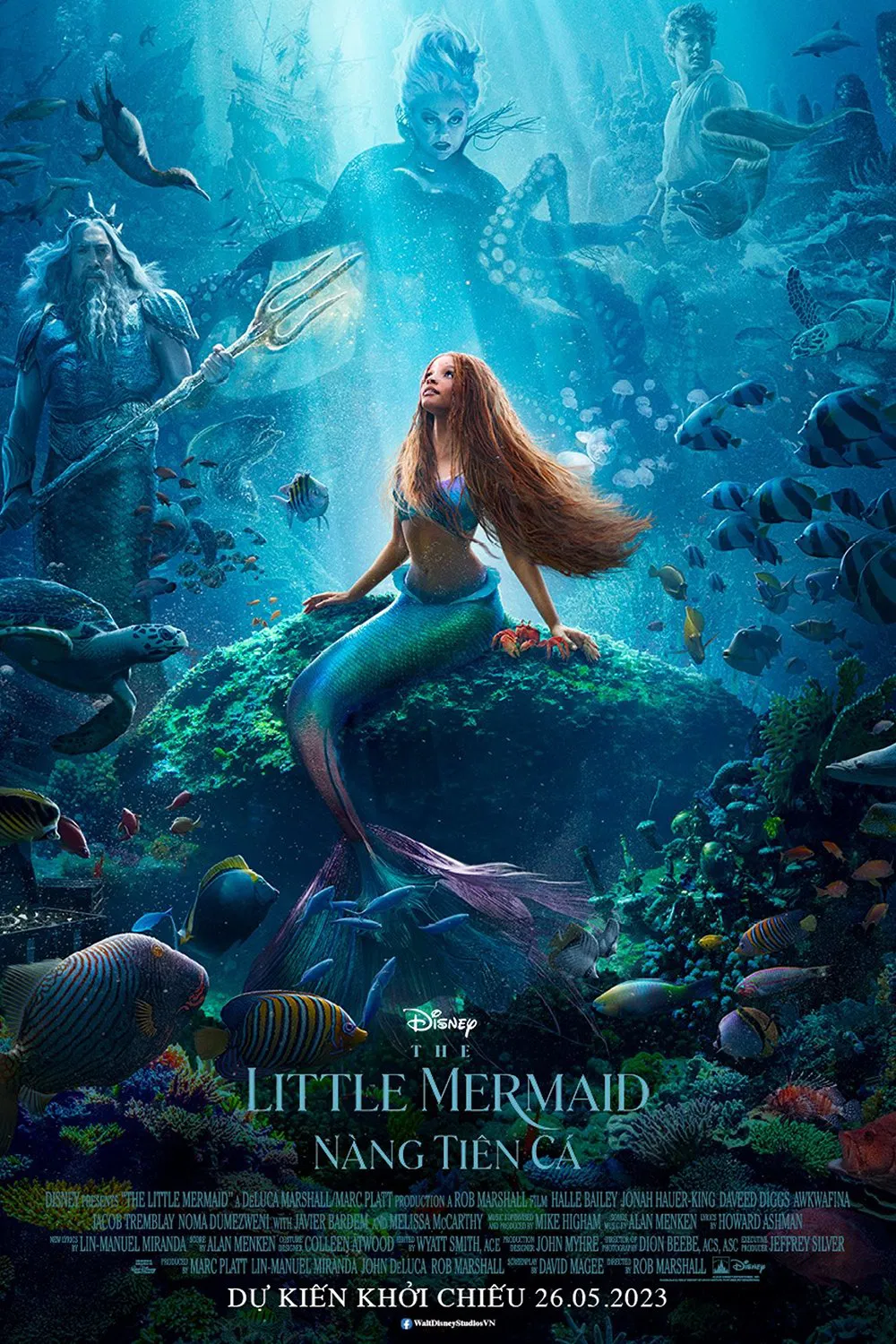 Phim Nàng Tiên Cá - The Little Mermaid