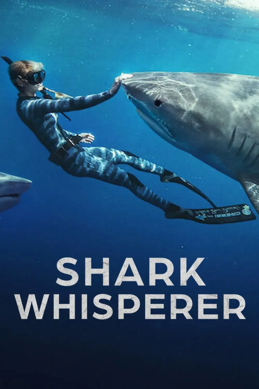 Phim Người Bạn Của Cá Mập - Shark Whisperer