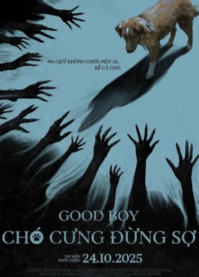 Chó Cưng Đừng Sợ
