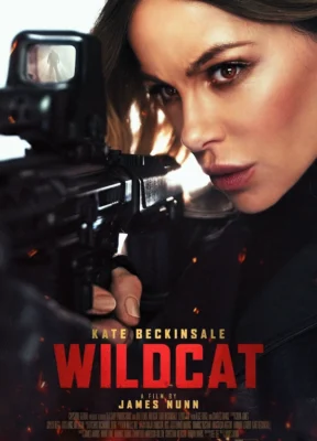Wildcat