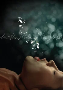 in-the-realm-of-the-senses