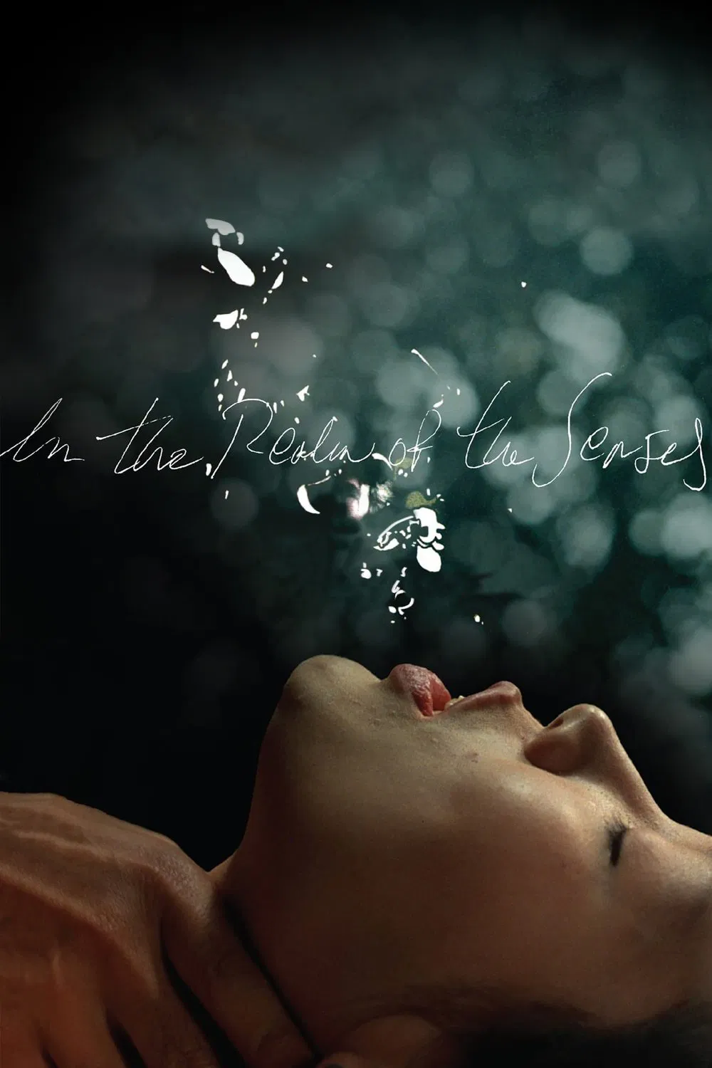 in-the-realm-of-the-senses
