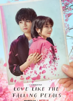 love-like-the-falling-petals